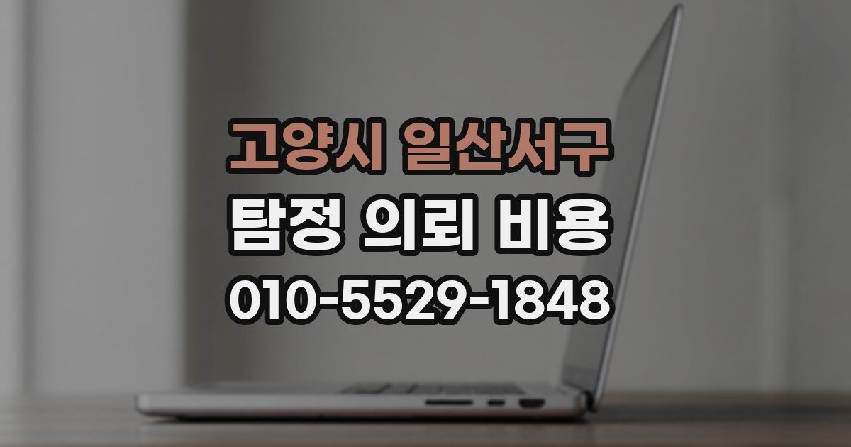 고양시 일산서구 탐정 의뢰 비용