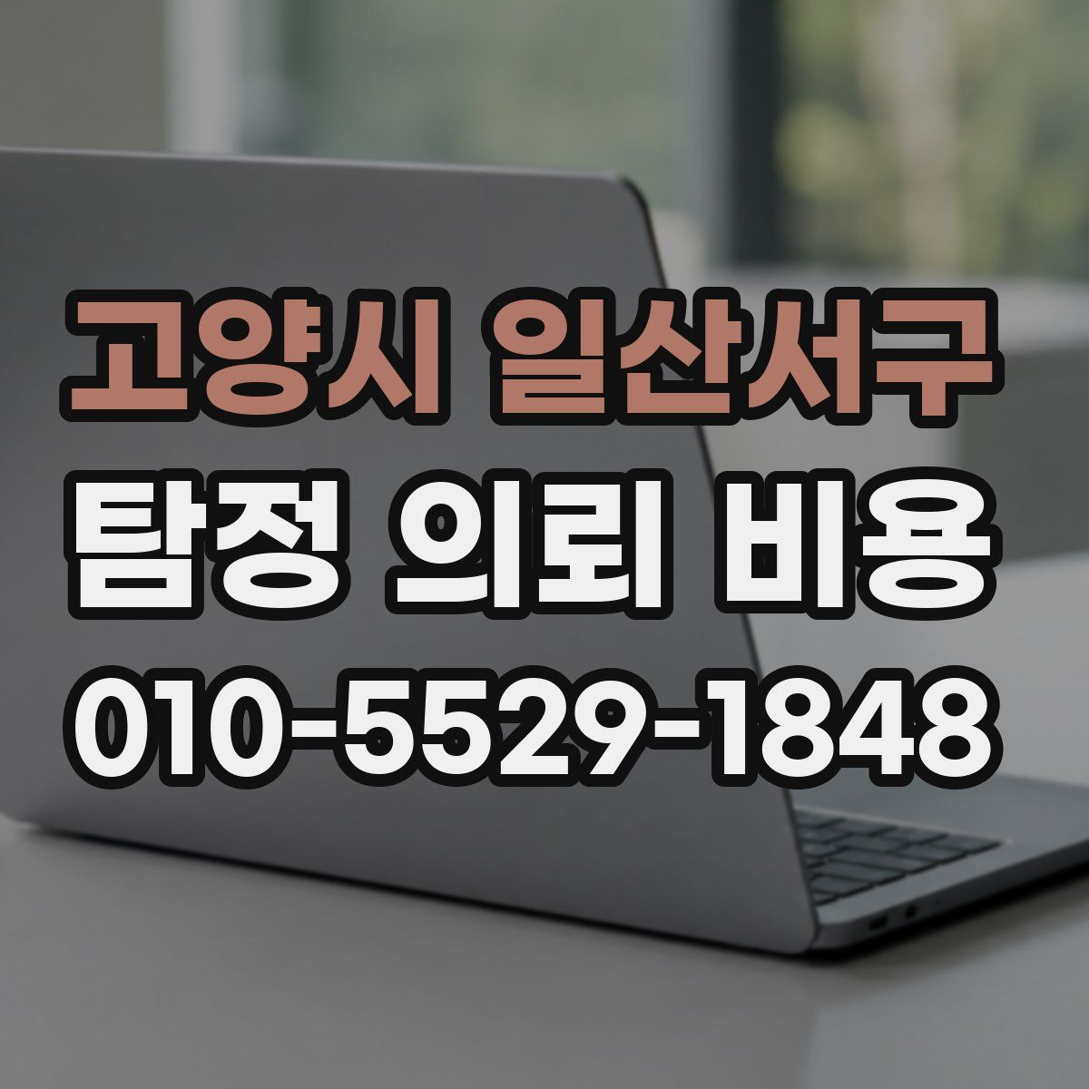 고양시 일산서구 탐정 의뢰 비용