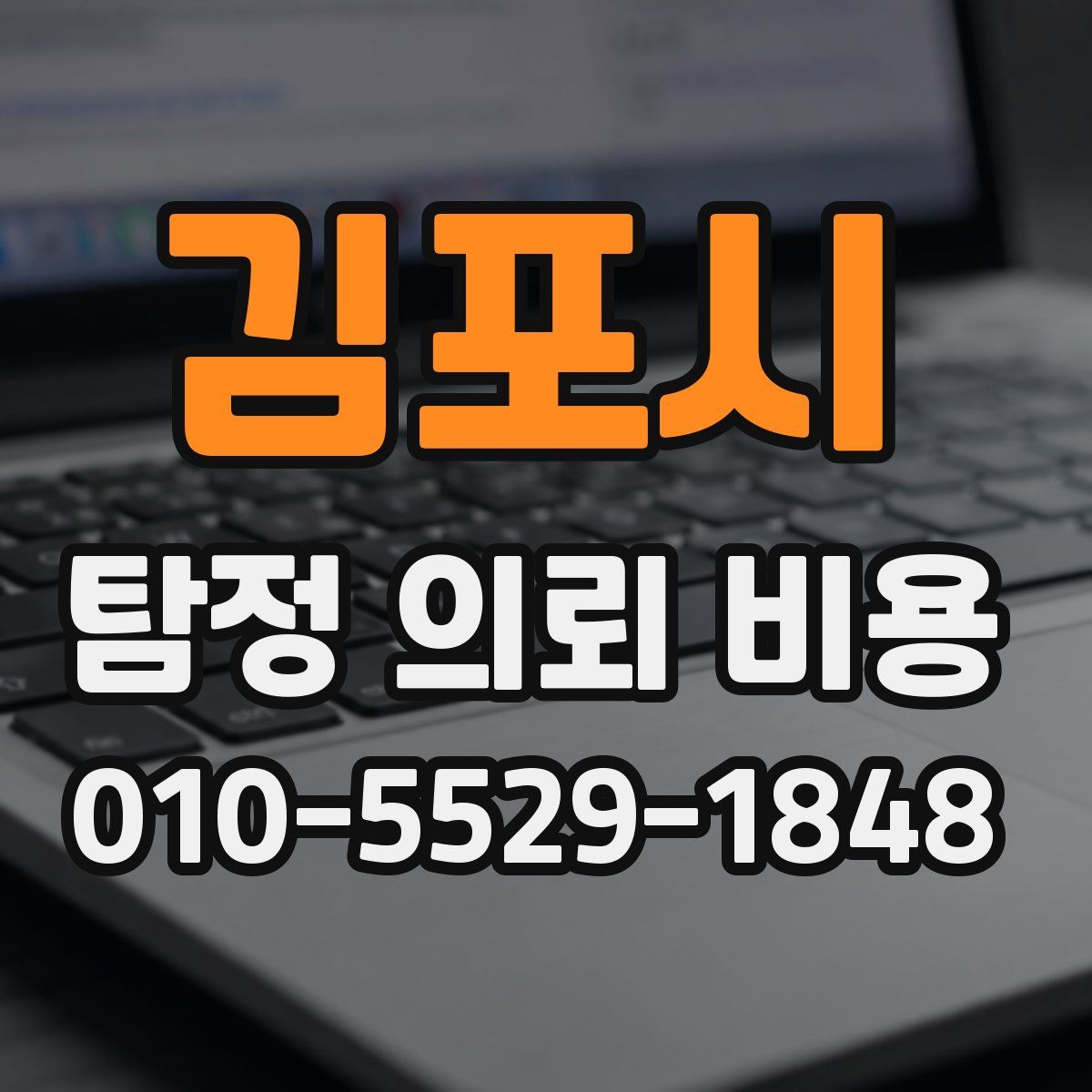 김포시 탐정 의뢰 비용
