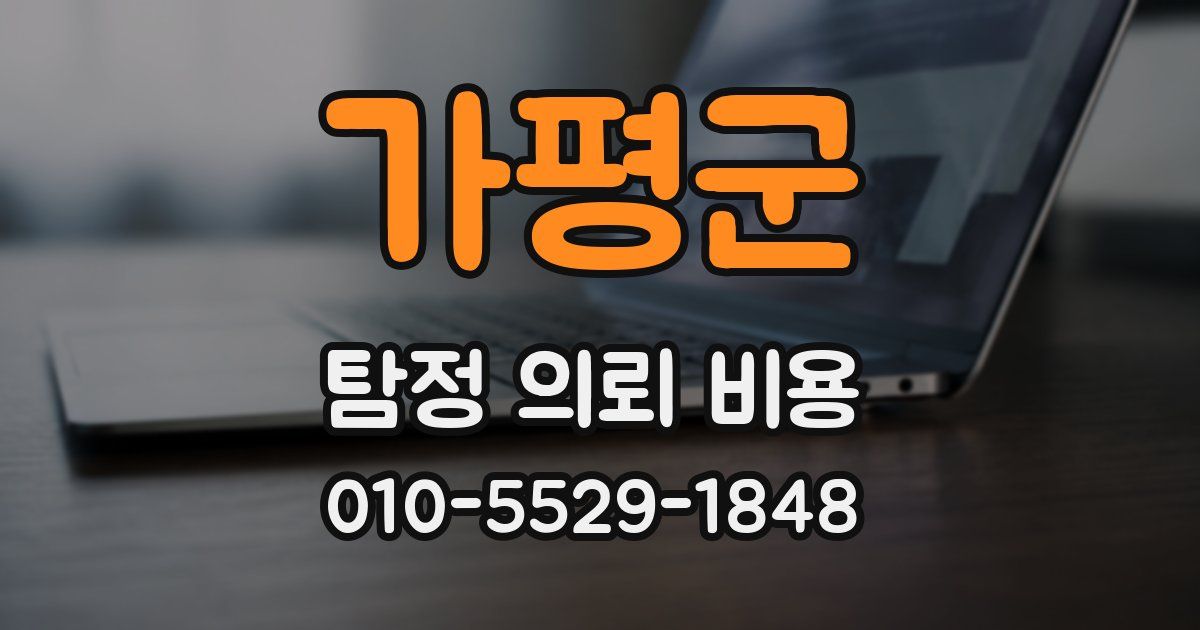 가평군 탐정 의뢰 비용