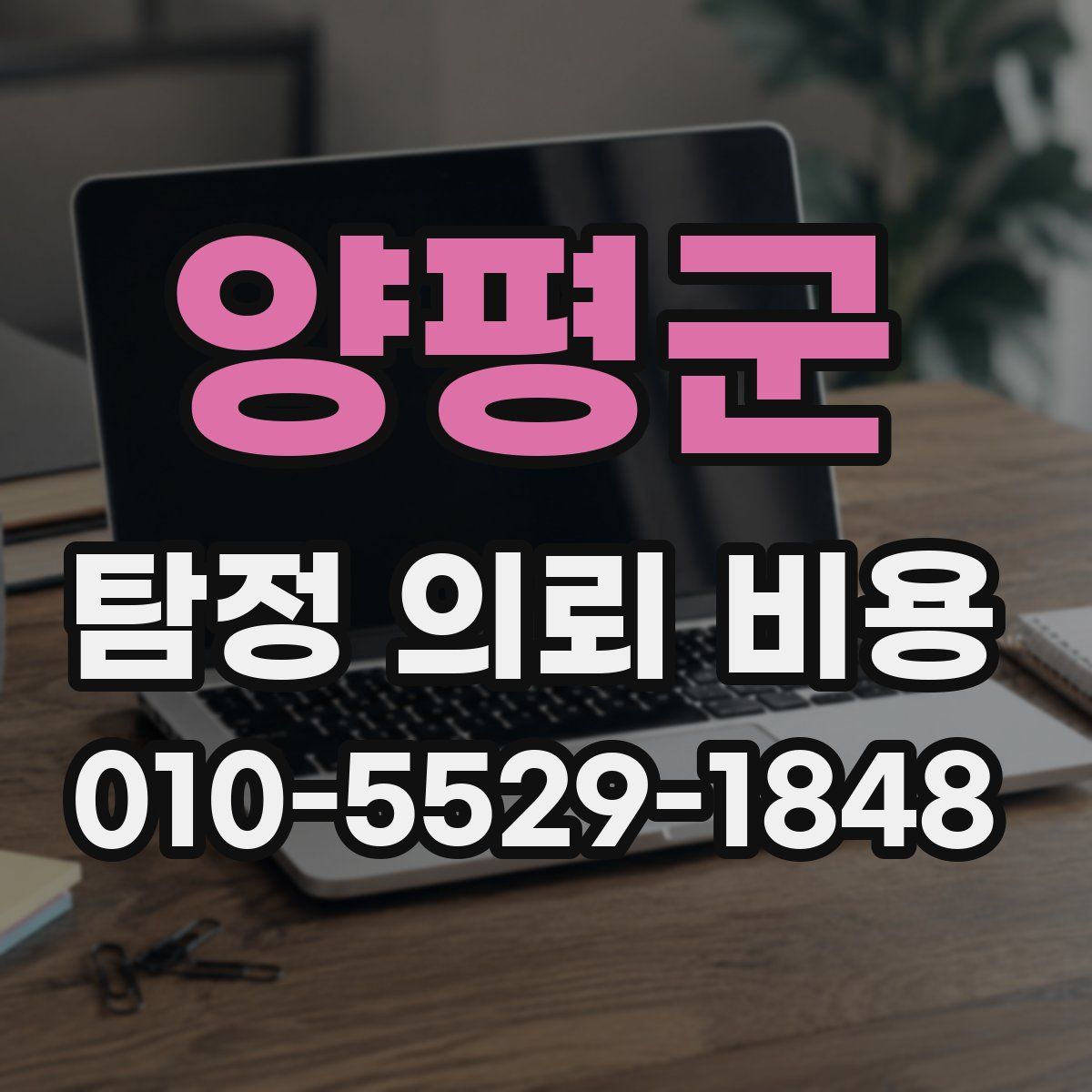 양평군 탐정 의뢰 비용
