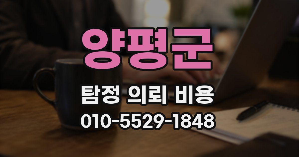 양평군 탐정 의뢰 비용