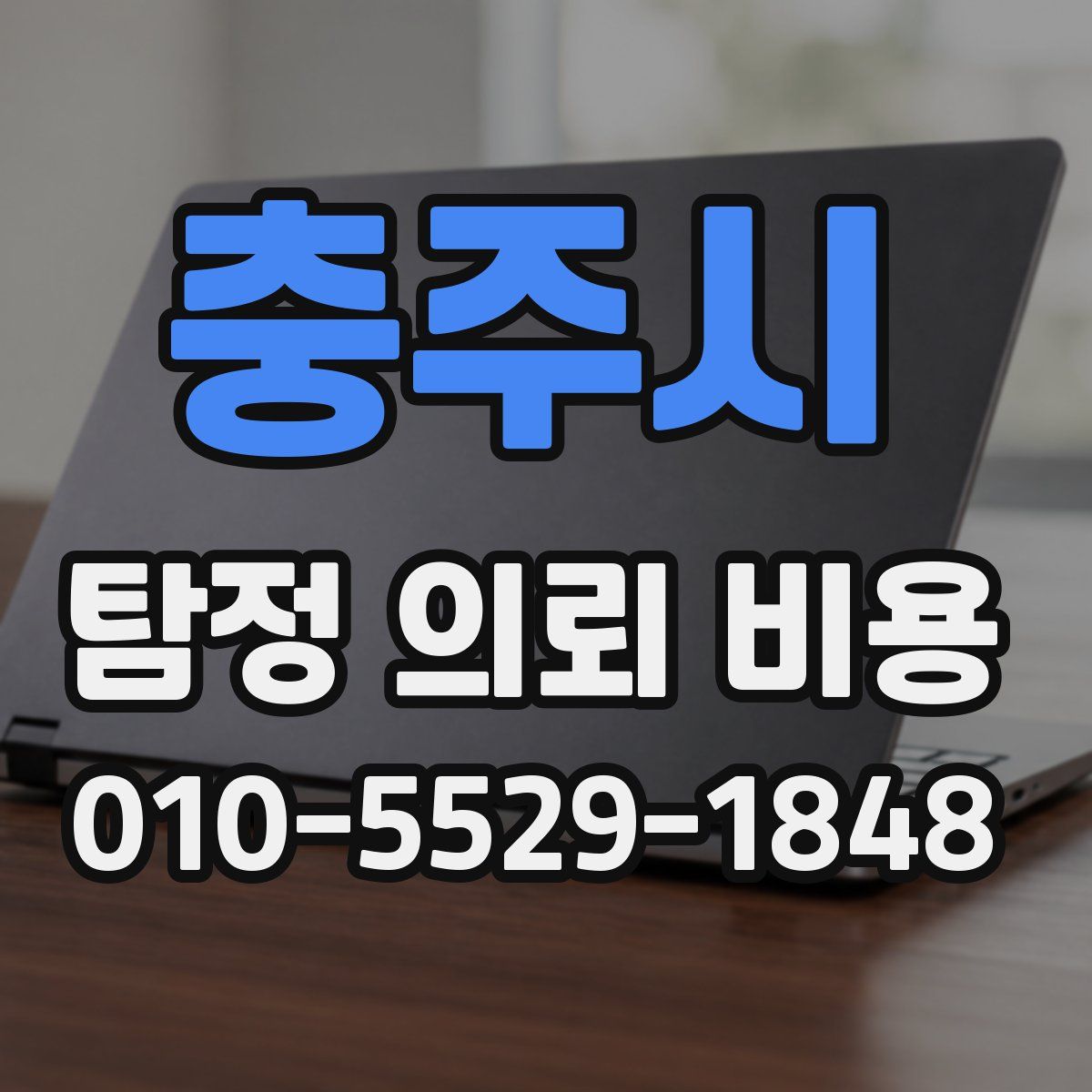충주시 탐정 의뢰 비용