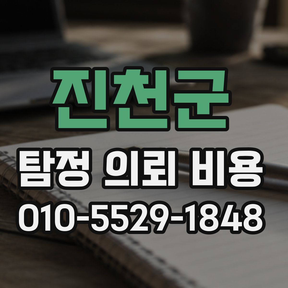 진천군 탐정 의뢰 비용