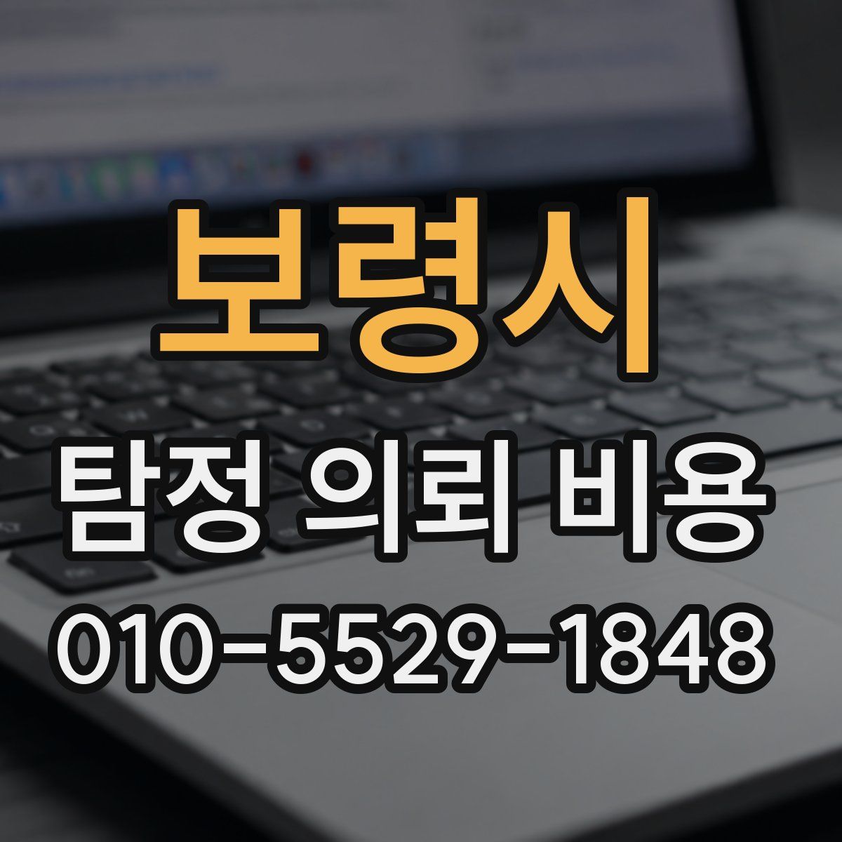 보령시 탐정 의뢰 비용
