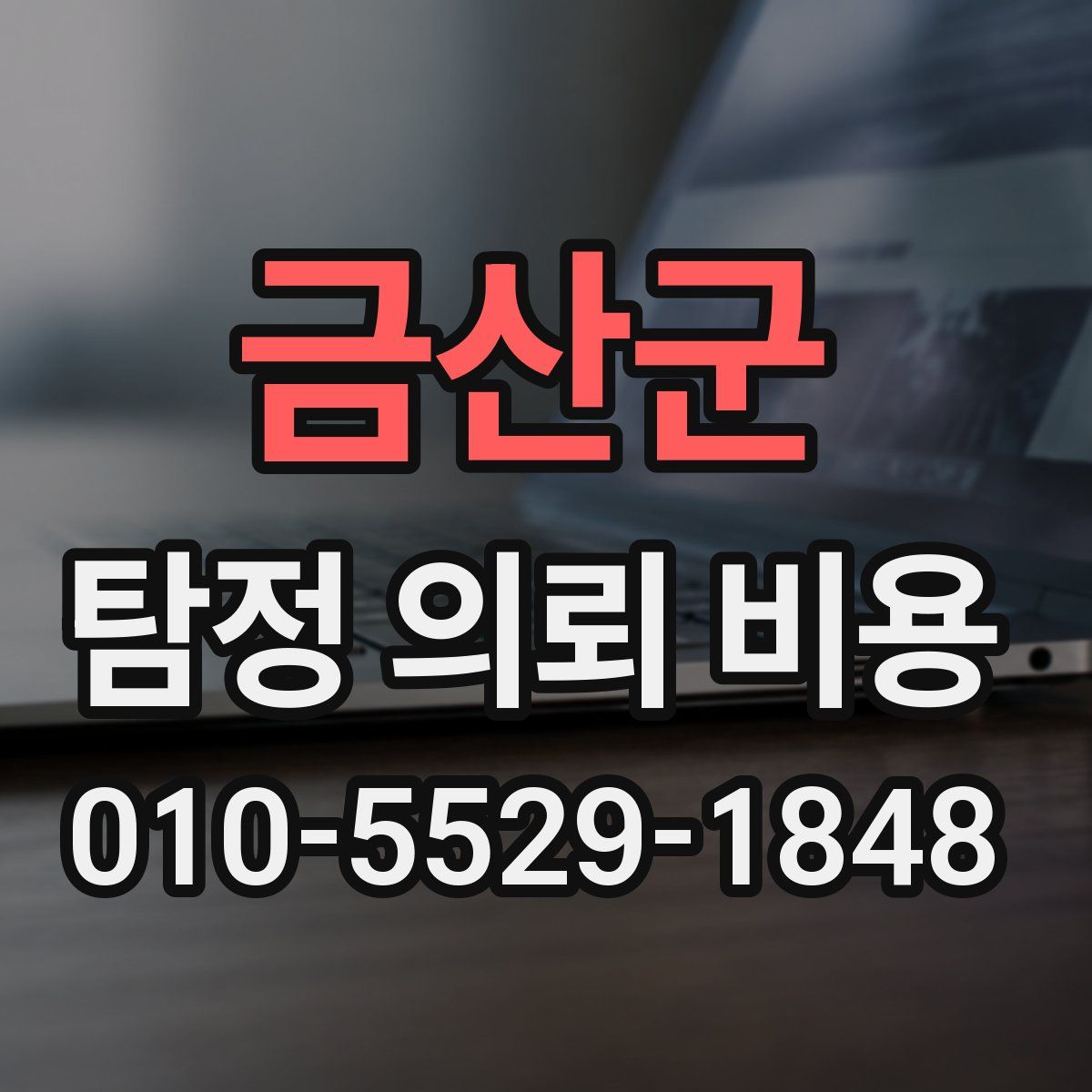 금산군 탐정 의뢰 비용