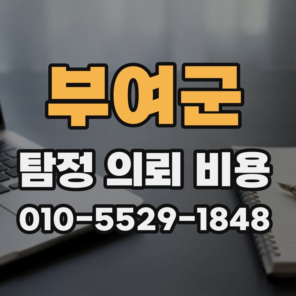 부여군 탐정 의뢰 비용