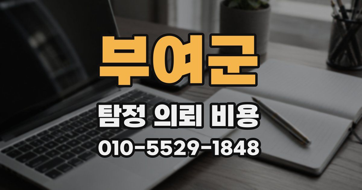부여군 탐정 의뢰 비용