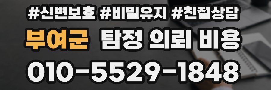 부여군 탐정 의뢰 비용