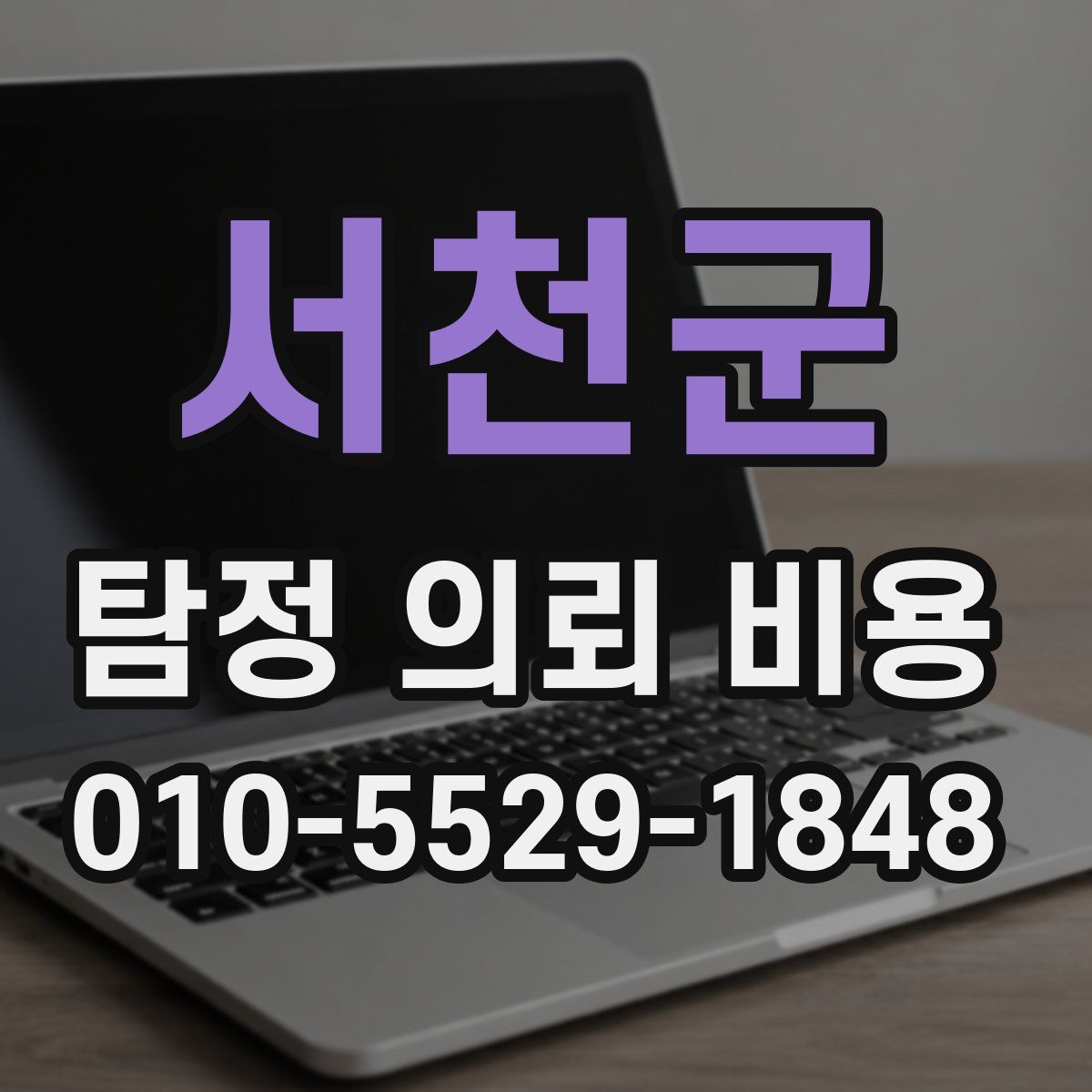 서천군 탐정 의뢰 비용