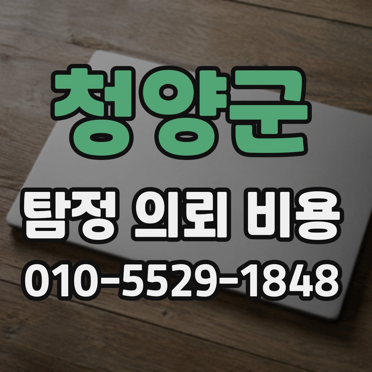 청양군 탐정 의뢰 비용