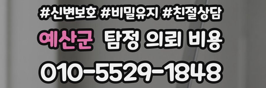 예산군 탐정 의뢰 비용
