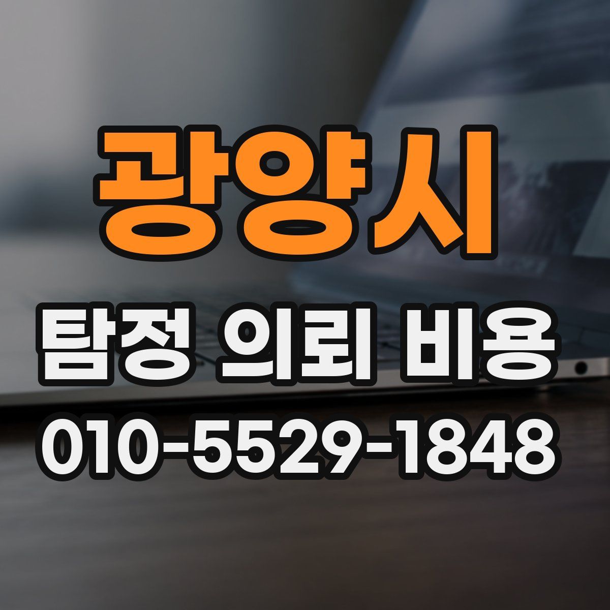 광양시 탐정 의뢰 비용