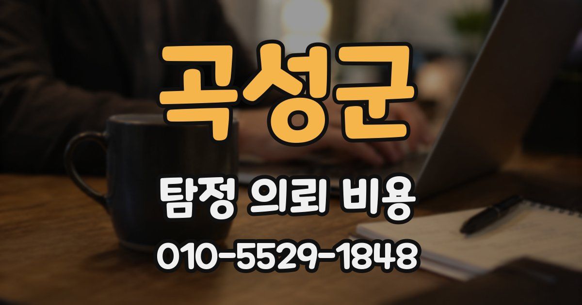 곡성군 탐정 의뢰 비용