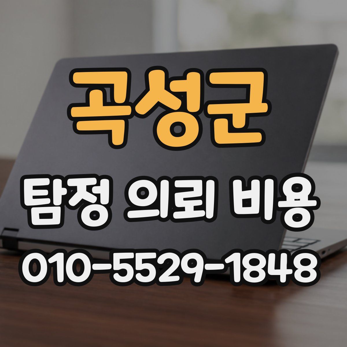 곡성군 탐정 의뢰 비용