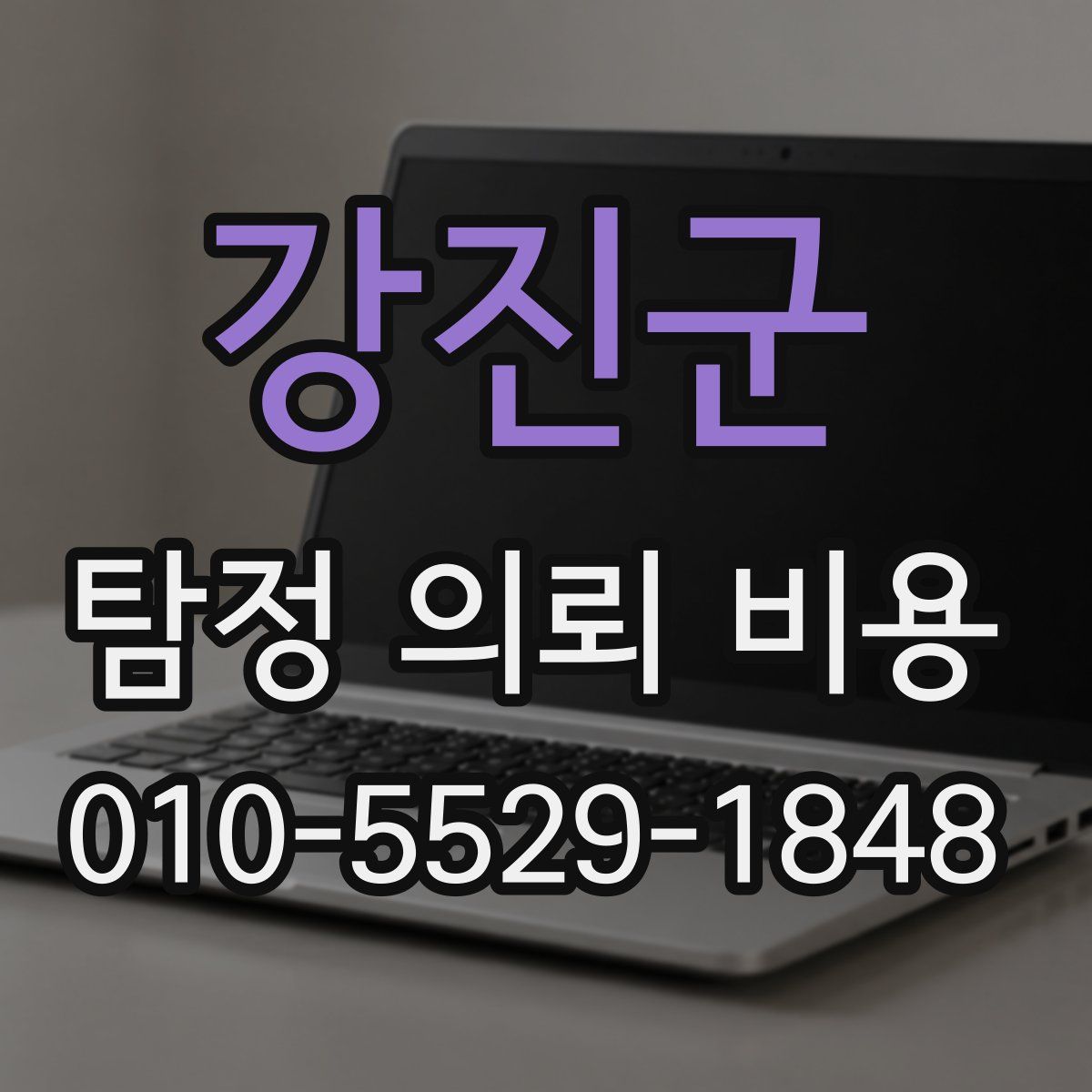 강진군 탐정 의뢰 비용
