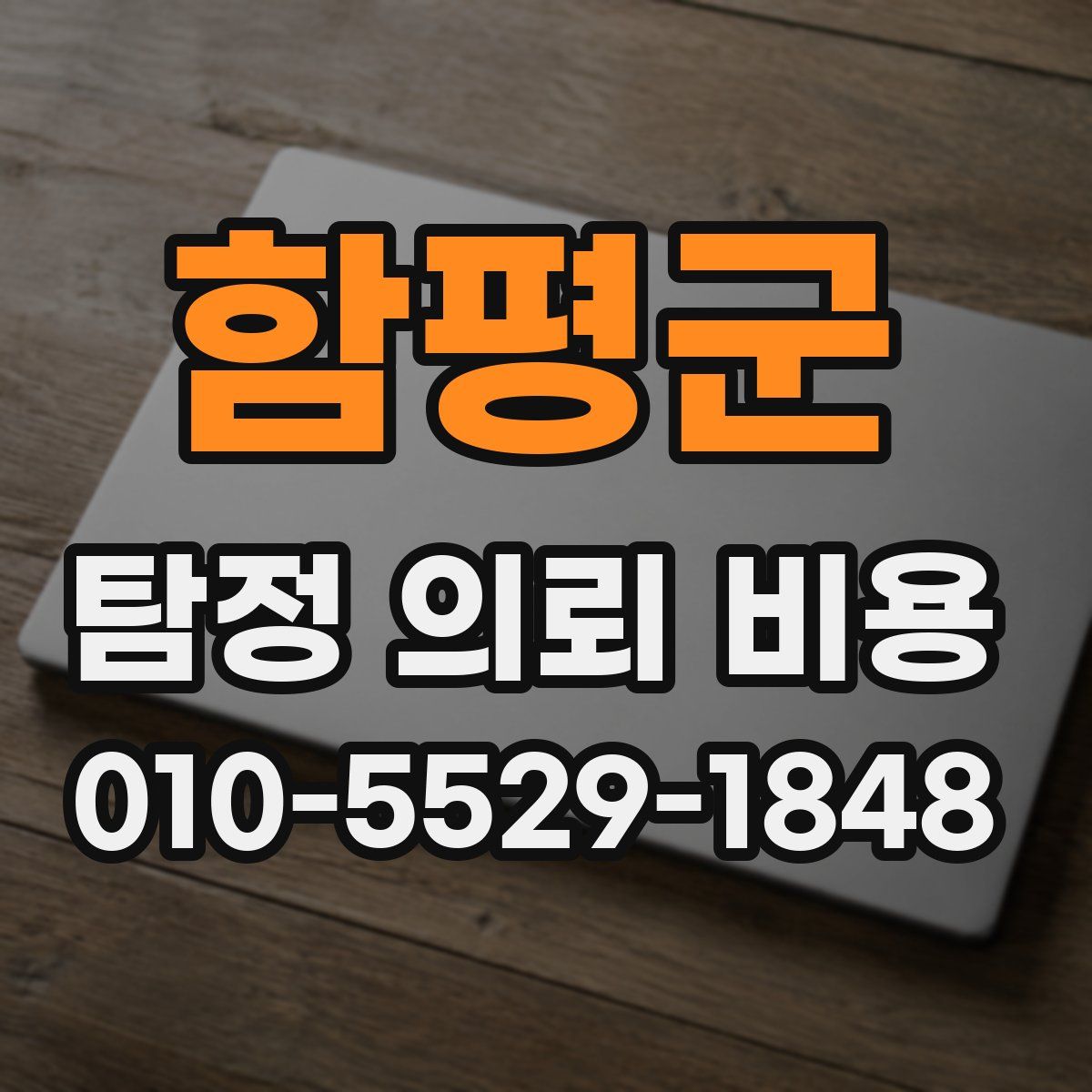 함평군 탐정 의뢰 비용