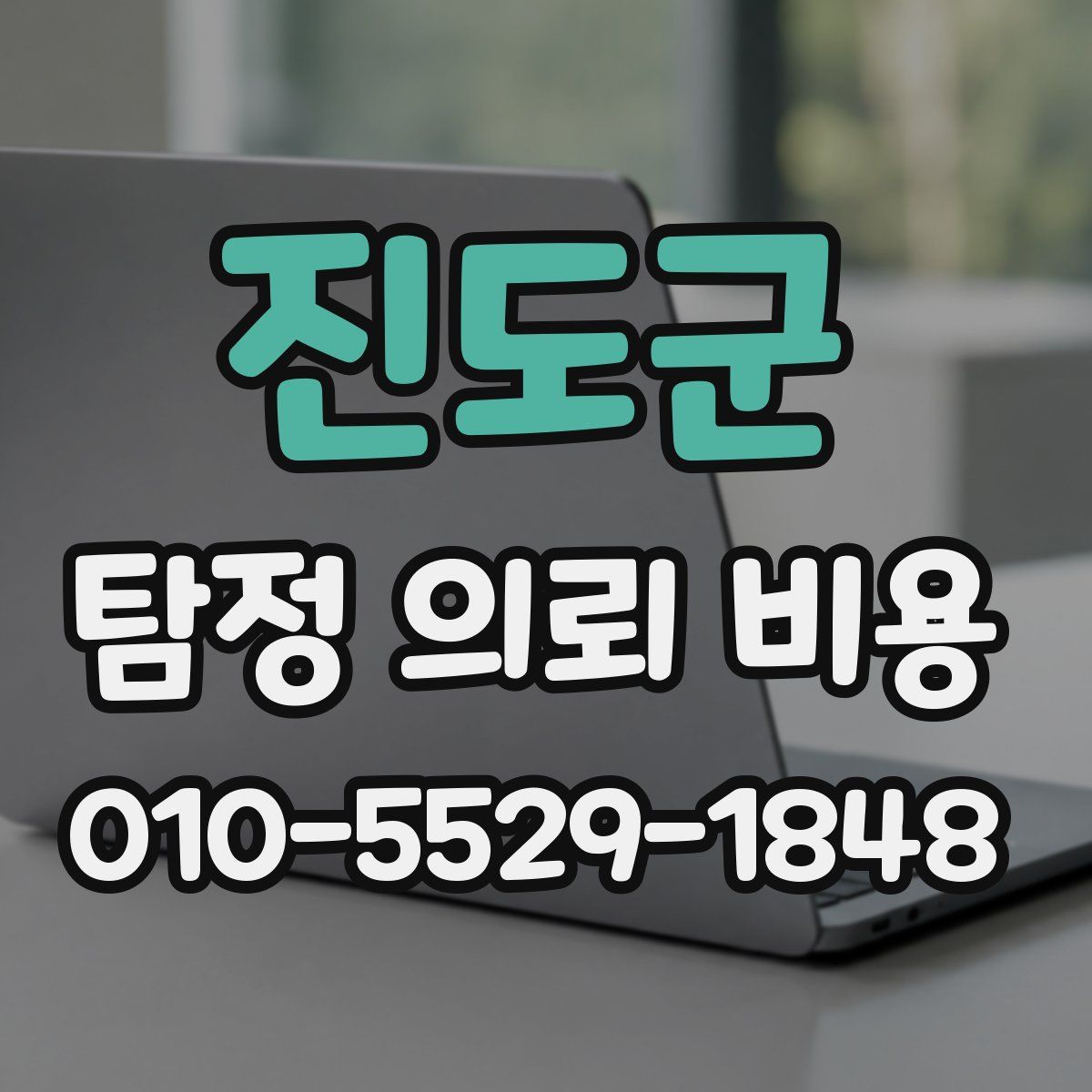 진도군 탐정 의뢰 비용
