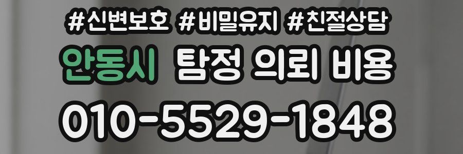안동시 탐정 의뢰 비용