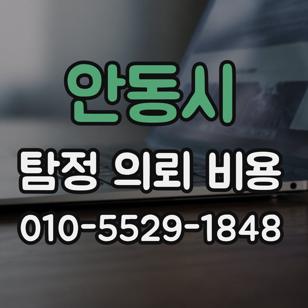 안동시 탐정 의뢰 비용