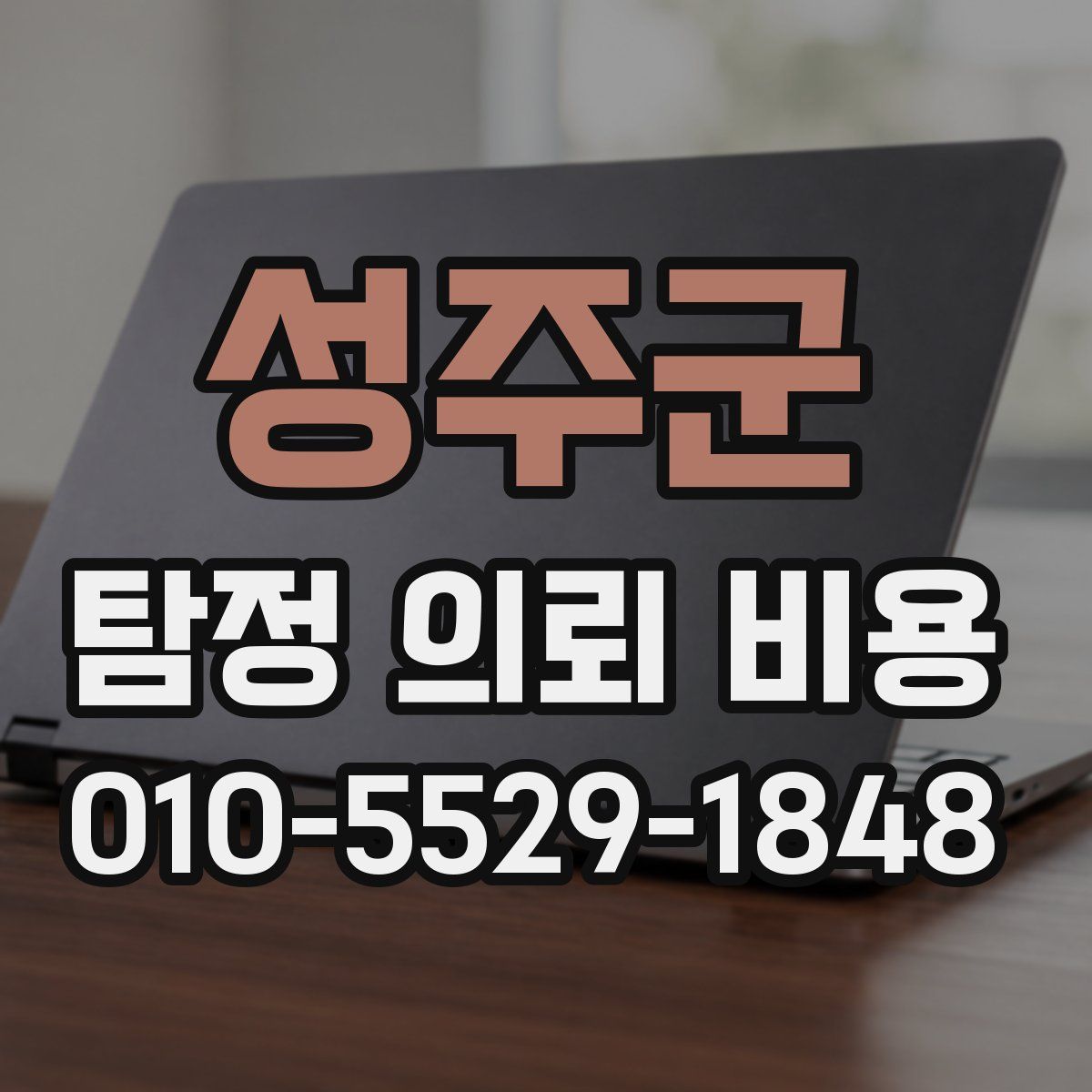 성주군 탐정 의뢰 비용