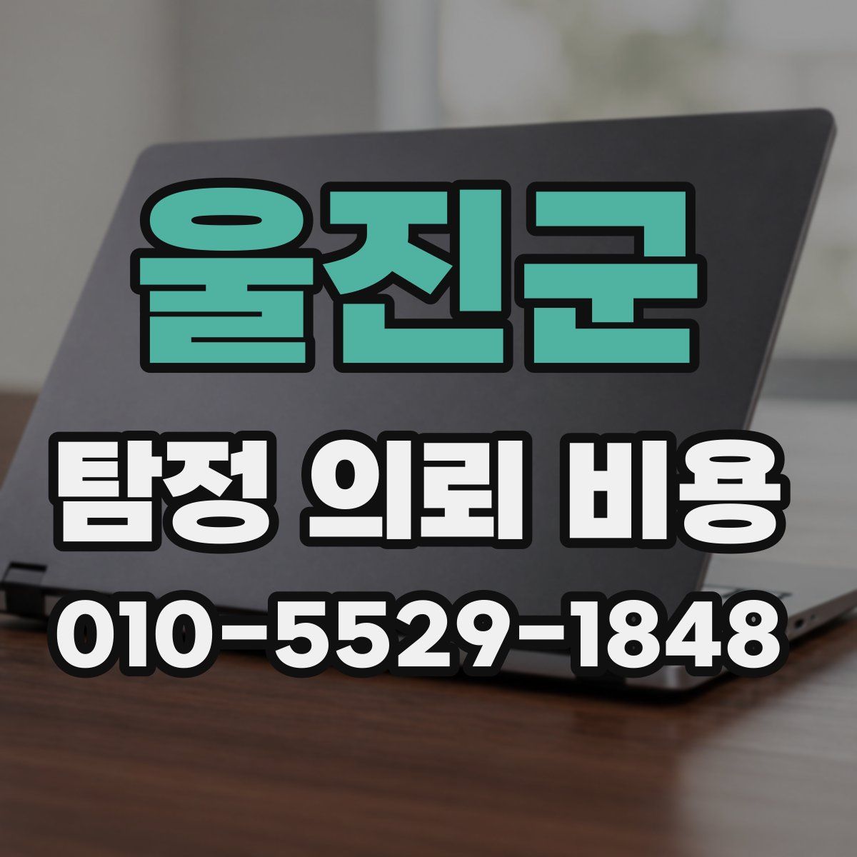 울진군 탐정 의뢰 비용