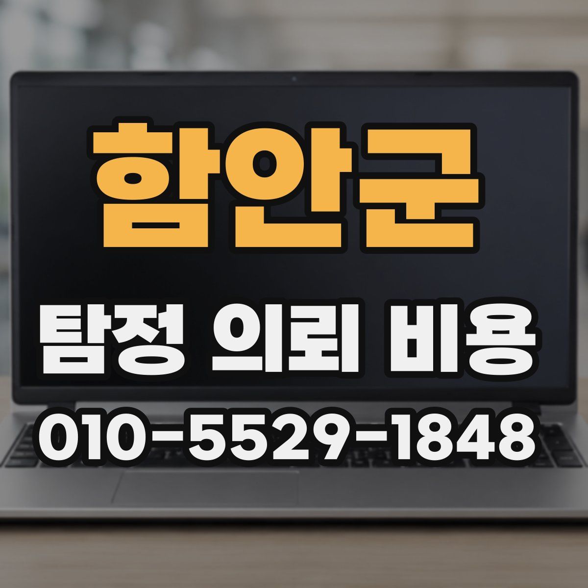 함안군 탐정 의뢰 비용