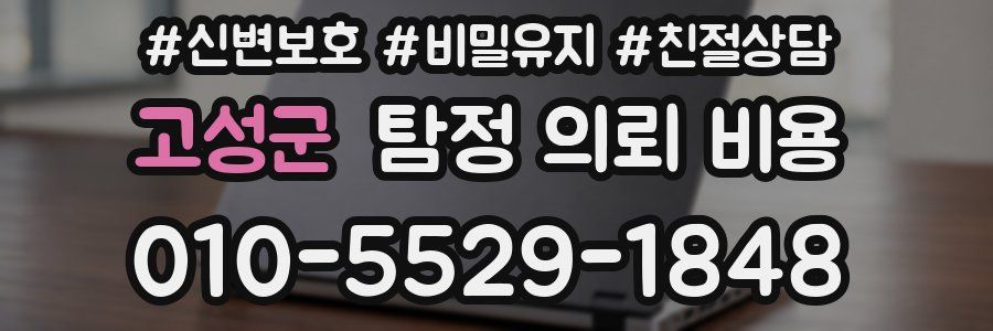 고성군 탐정 의뢰 비용