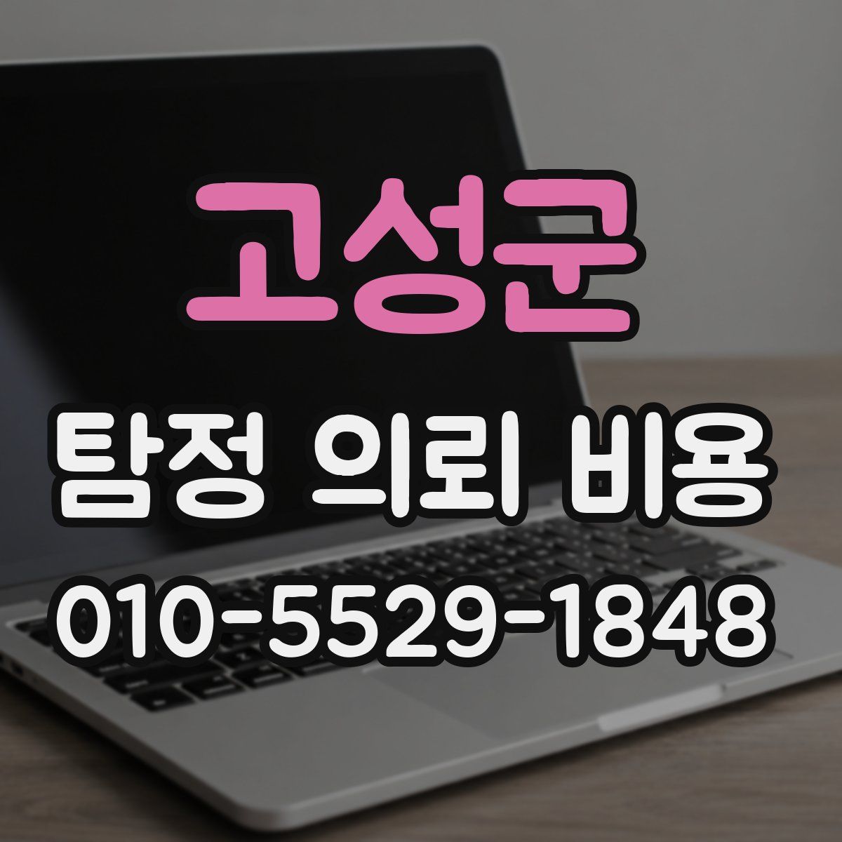 고성군 탐정 의뢰 비용