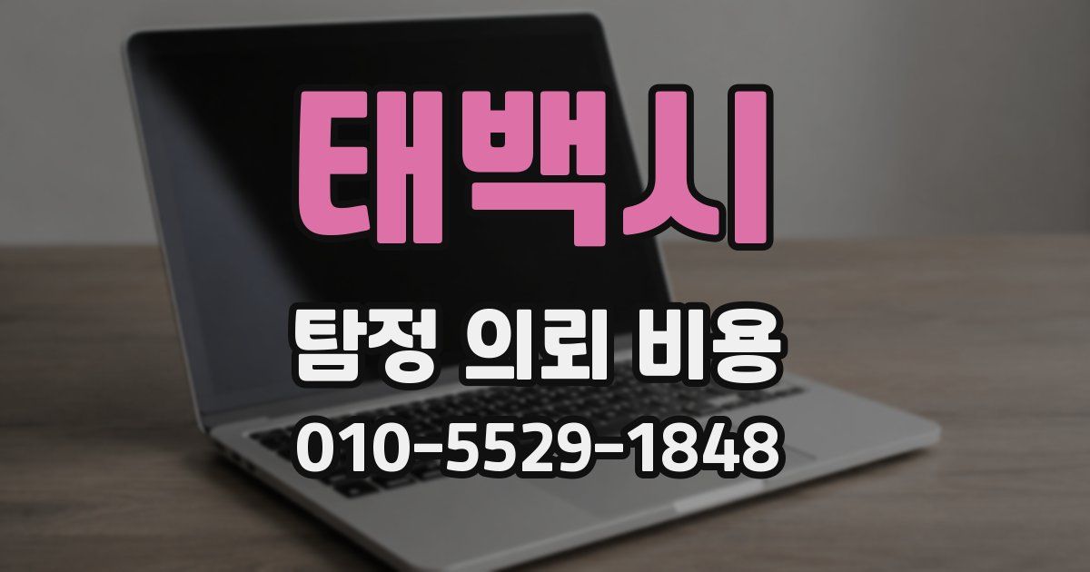 태백시 탐정 의뢰 비용