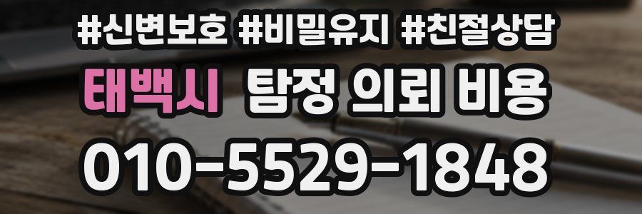 태백시 탐정 의뢰 비용