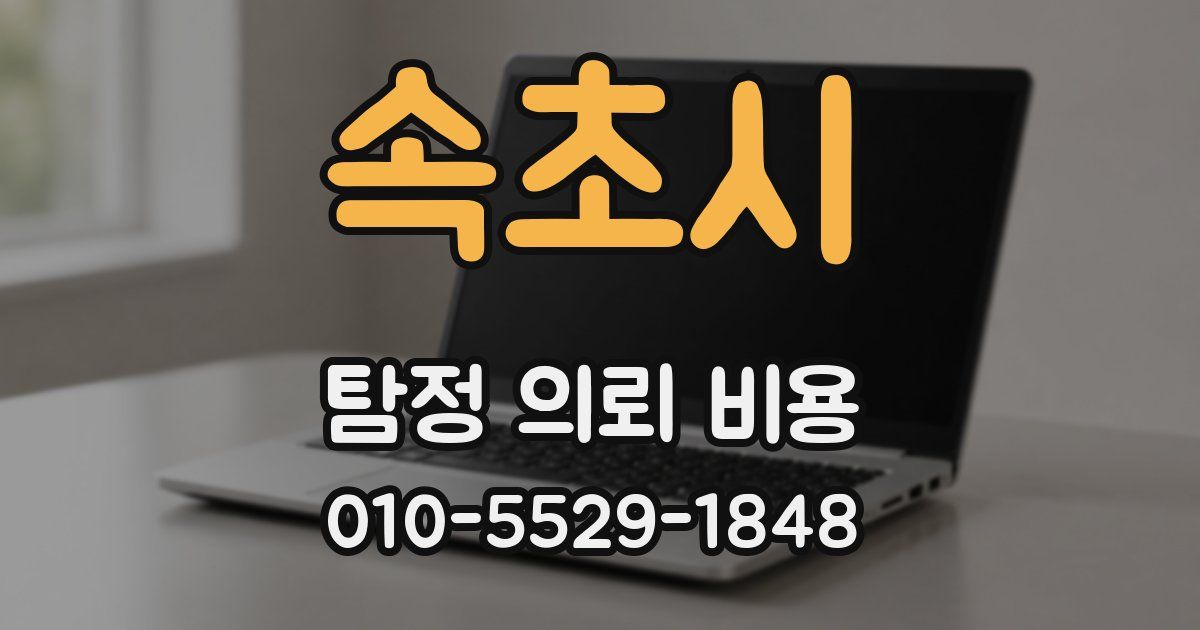 속초시 탐정 의뢰 비용