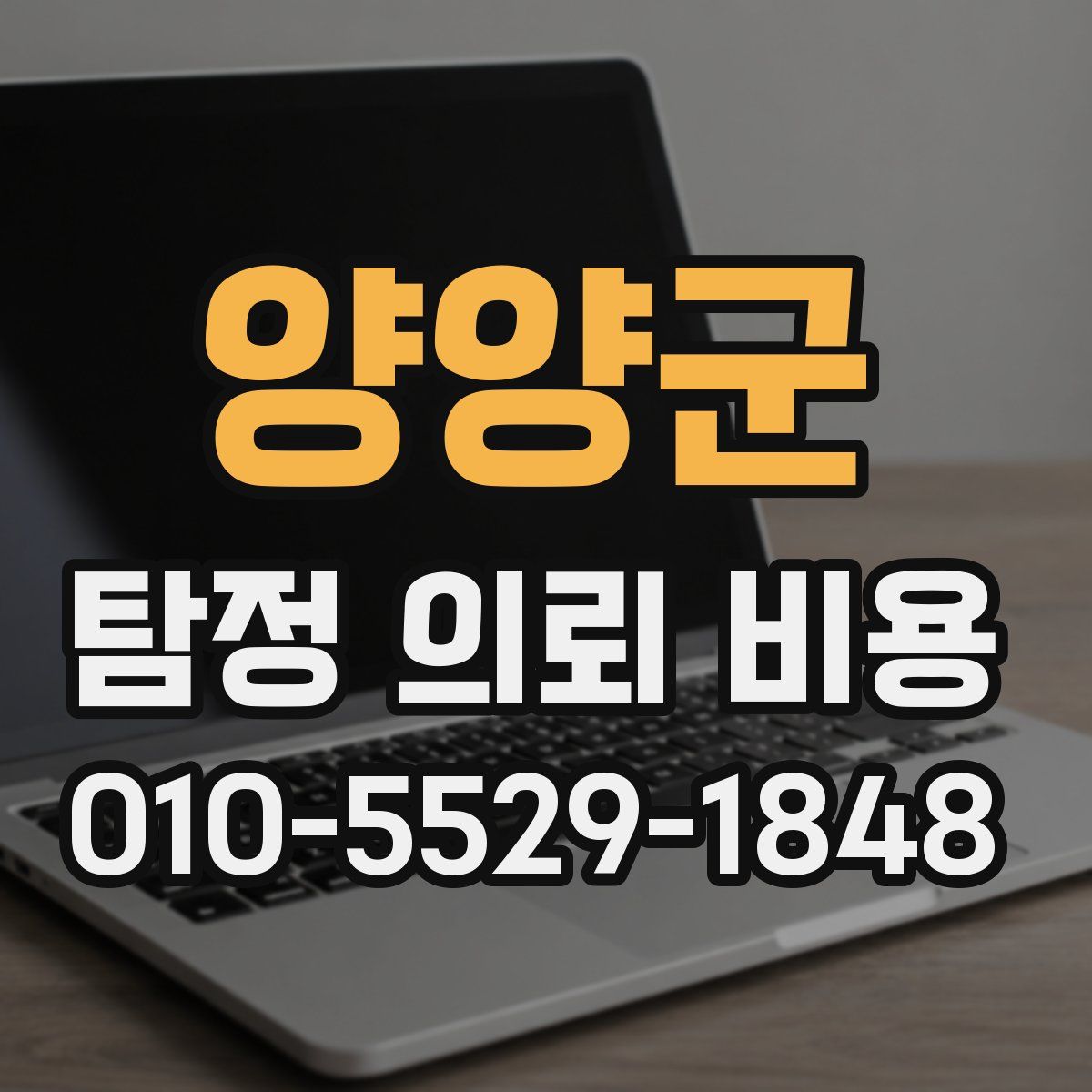 양양군 탐정 의뢰 비용
