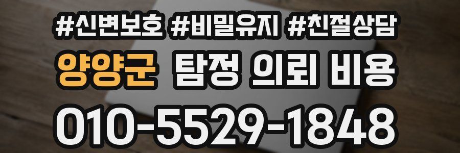 양양군 탐정 의뢰 비용