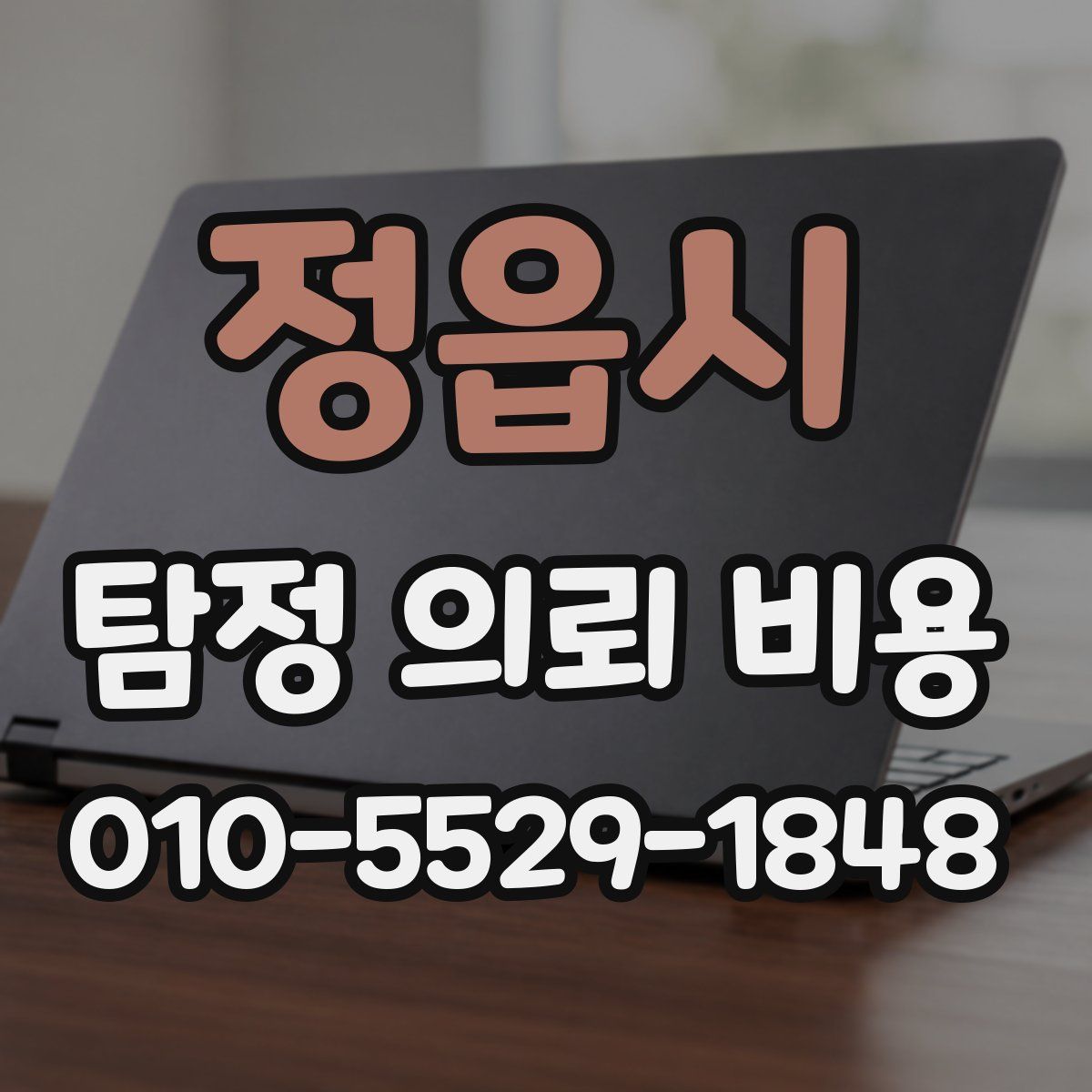 정읍시 탐정 의뢰 비용