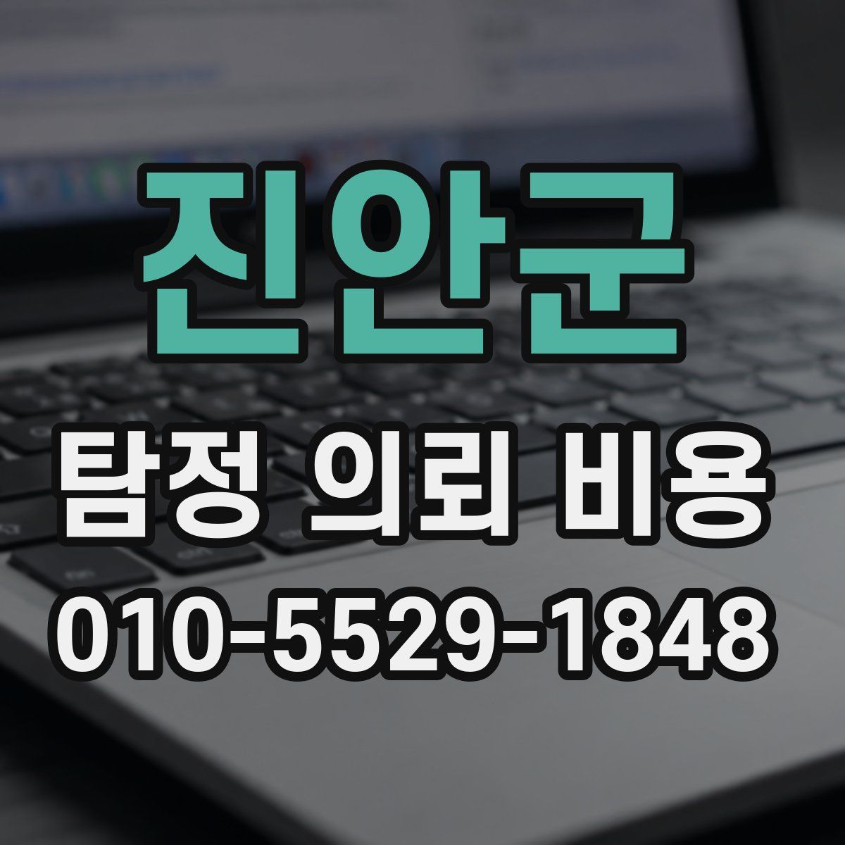 진안군 탐정 의뢰 비용