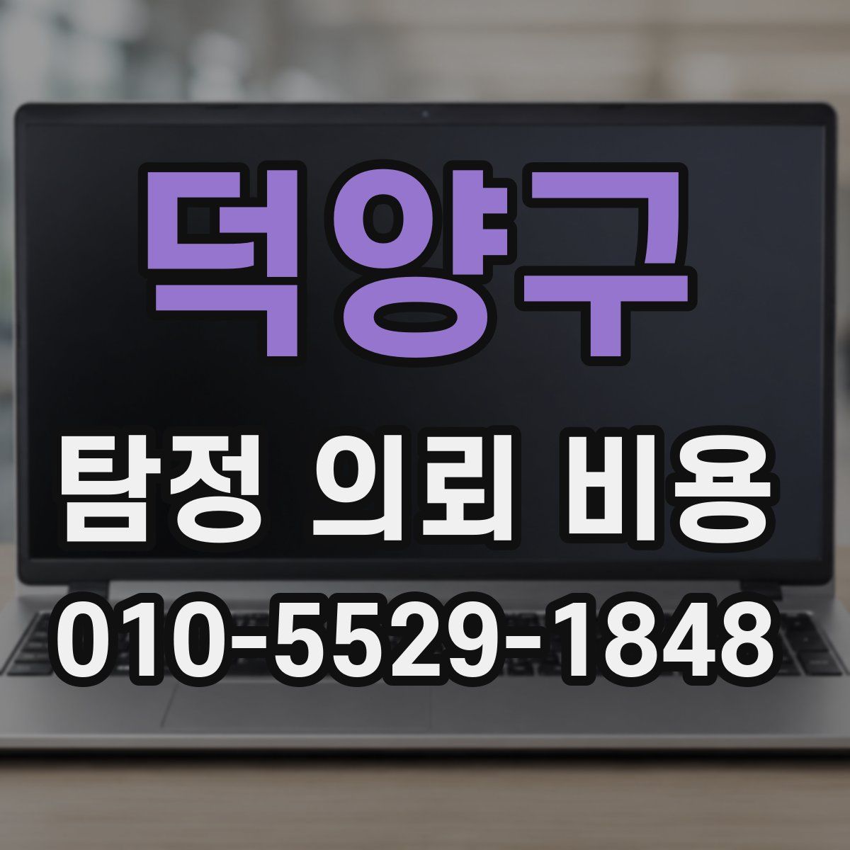 덕양구 탐정 의뢰 비용