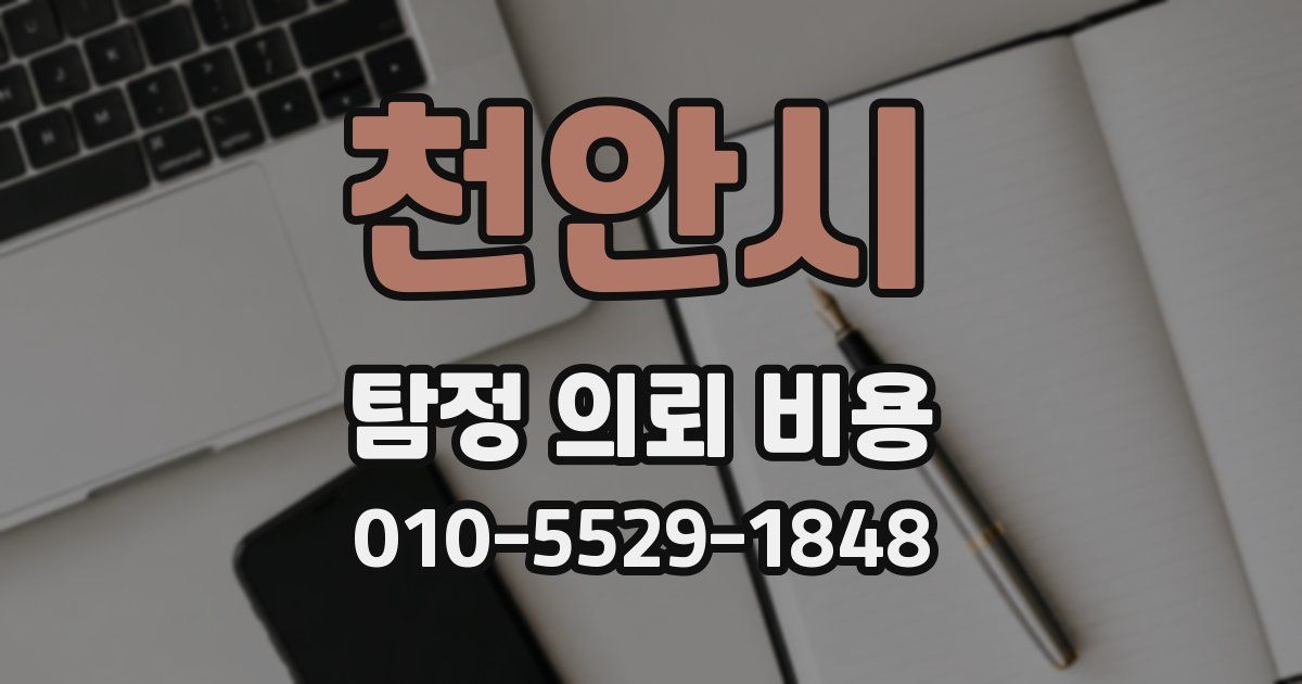 천안시 탐정 의뢰 비용
