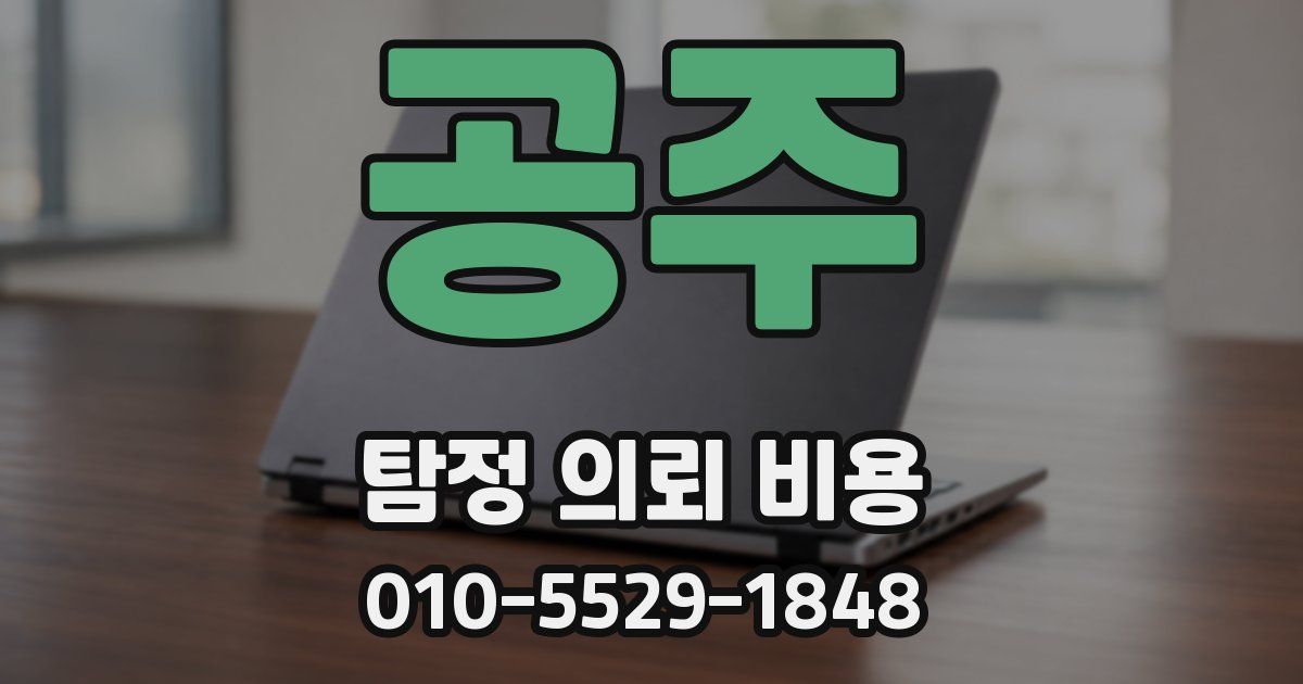 공주 탐정 의뢰 비용