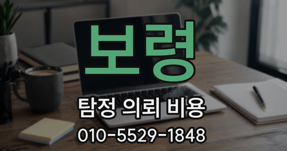 보령 탐정 의뢰 비용