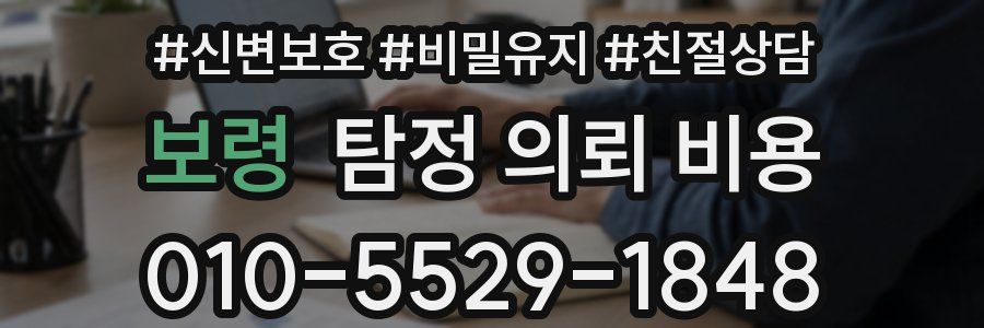 보령 탐정 의뢰 비용