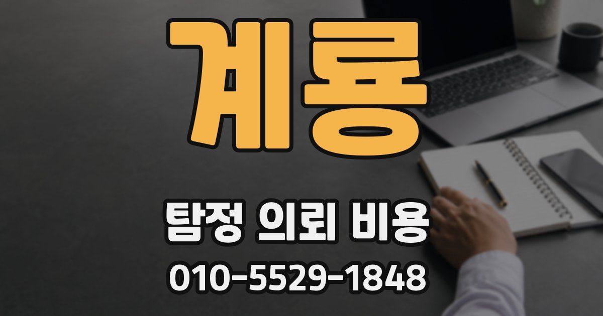 계룡 탐정 의뢰 비용