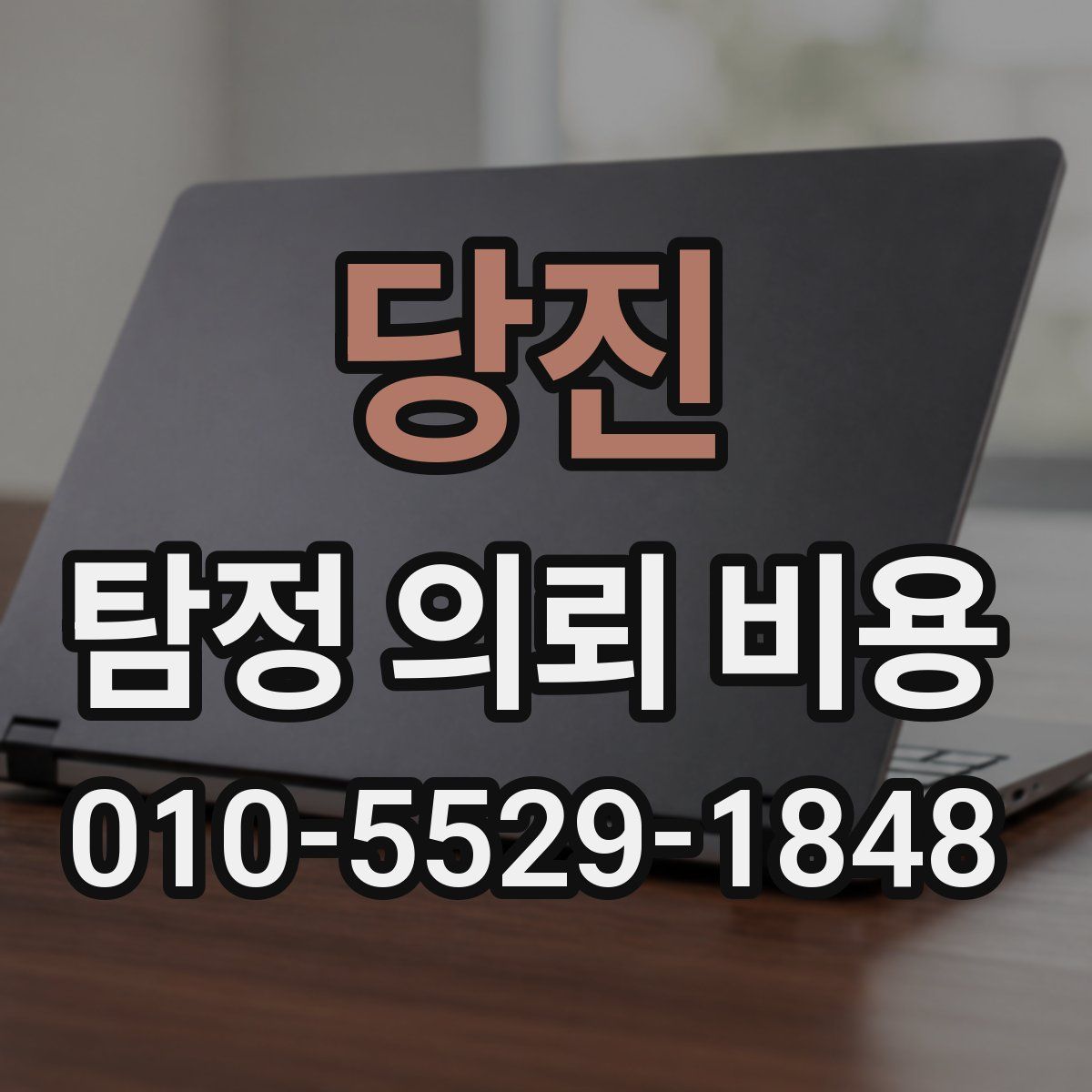 당진 탐정 의뢰 비용