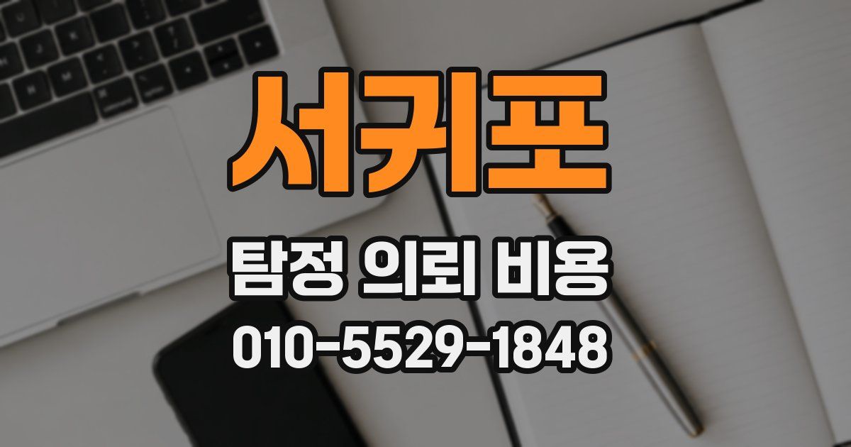 서귀포 탐정 의뢰 비용