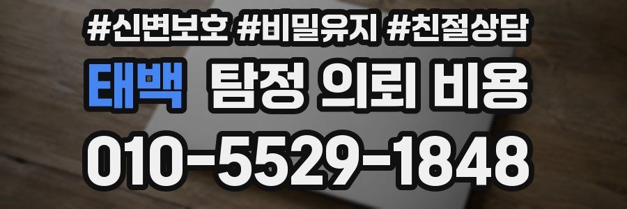태백 탐정 의뢰 비용