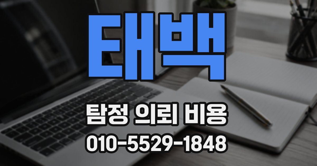 태백 탐정 의뢰 비용