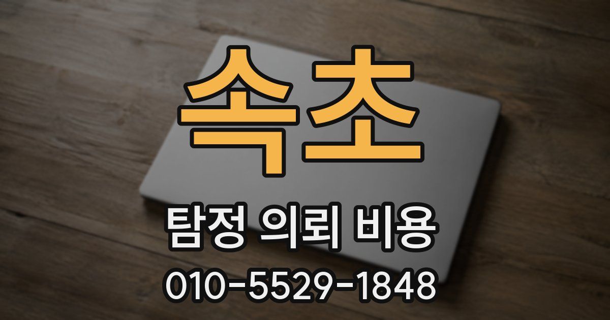 속초 탐정 의뢰 비용
