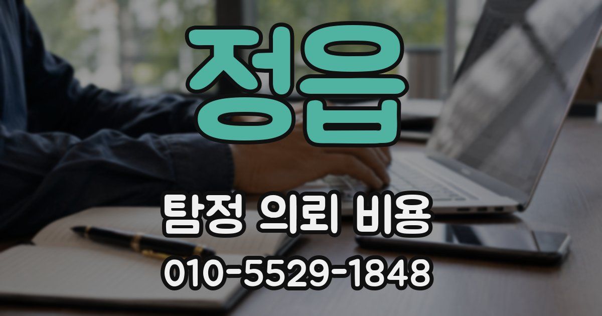 정읍 탐정 의뢰 비용