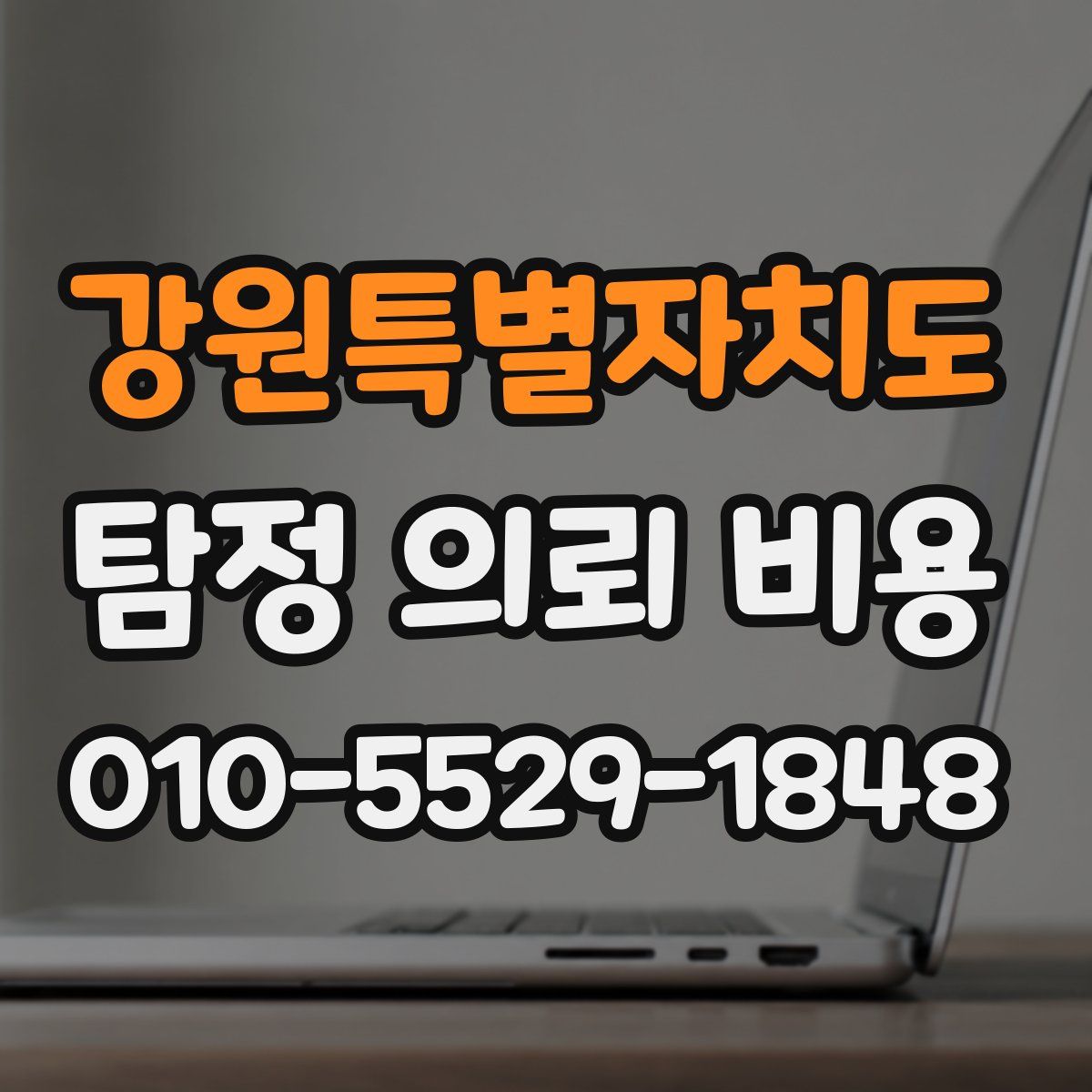강원특별자치도 탐정 의뢰 비용