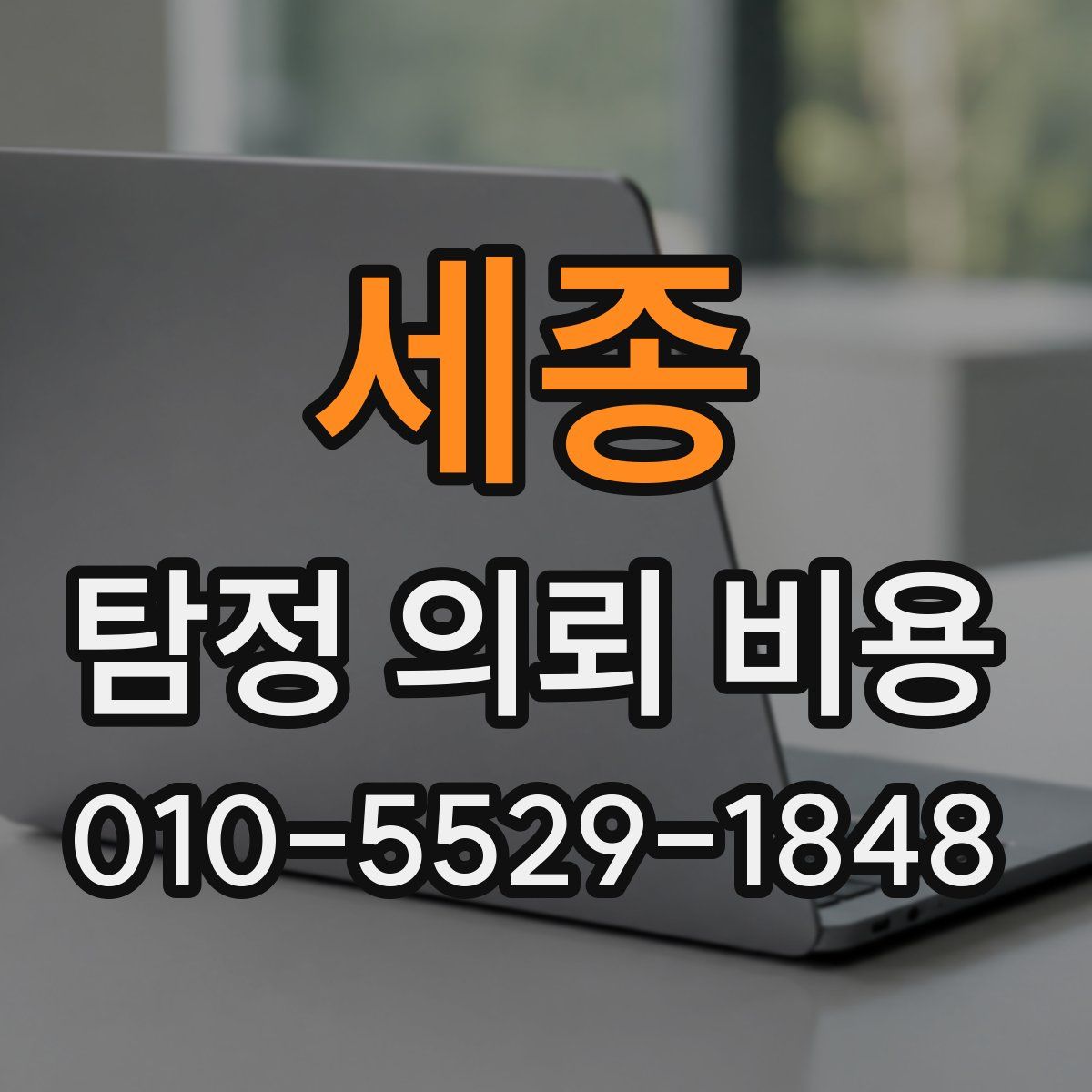 세종 탐정 의뢰 비용